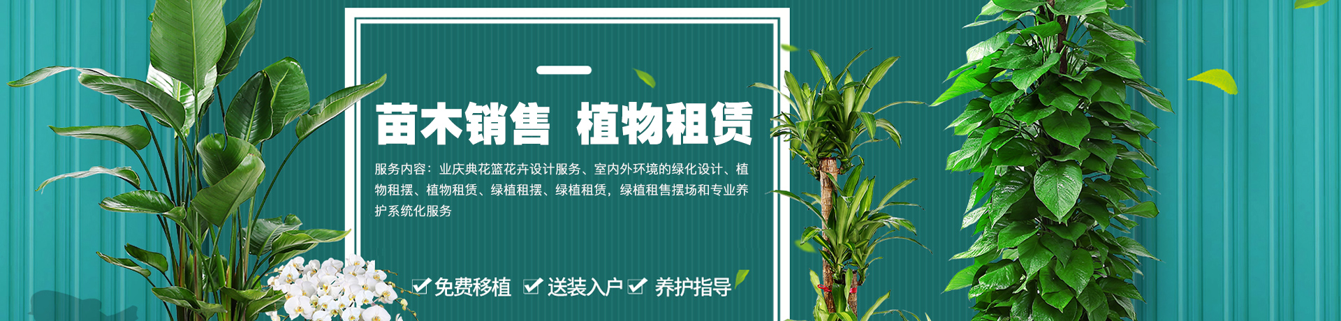 首页banner