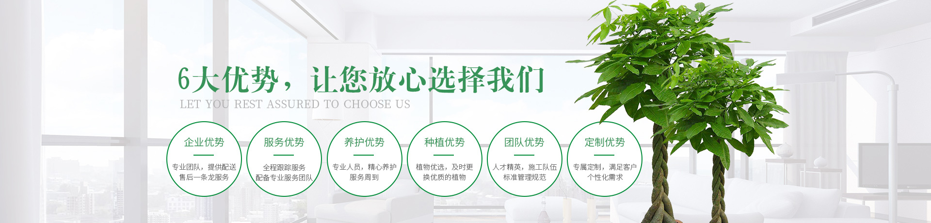 首页banner