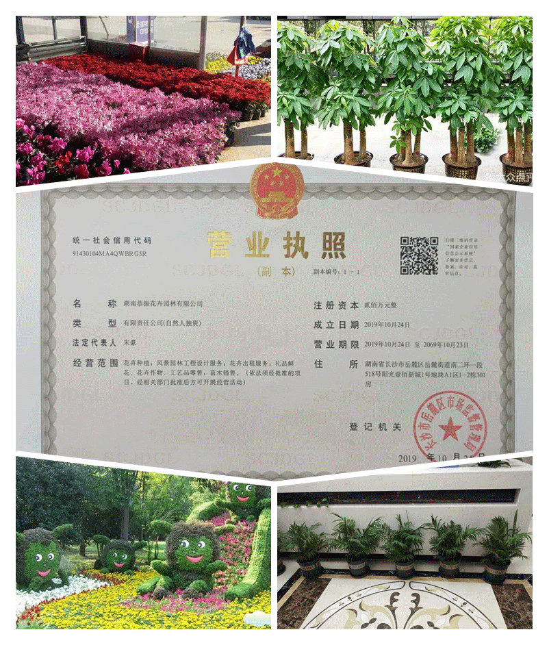 202006031000200957-(1).png 202006031000200957-(1).png